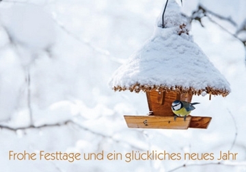 Bild von Winter/Weihnachten: Frohe Festtage Vogelhäuschen