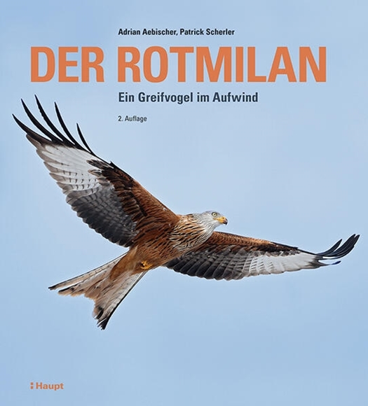 Bild von Aebischer, Adrian: Der Rotmilan