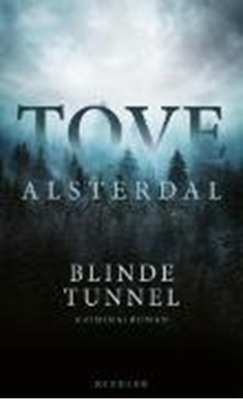 Bild von Alsterdal, Tove: Blinde Tunnel (eBook)